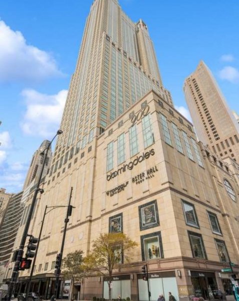 132 E Delaware Pl #6205-07 Chicago, IL 60611