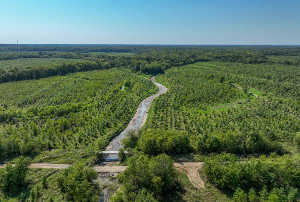 0000 Mayflower Rd Clay City, IL 62824