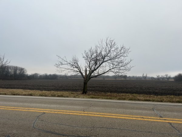 70 acres Galligan Rd Gilberts, IL 60136