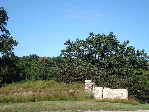 Lot #51 E LONGWOOD Dr Woodstock, IL 60098