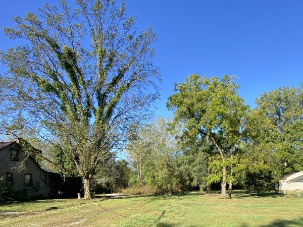 00 LOT 180th St Tinley Park, IL 60477